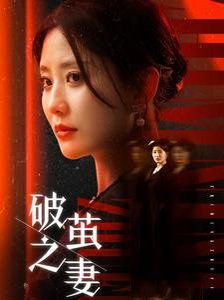 破茧之妻 婚姻的救赎