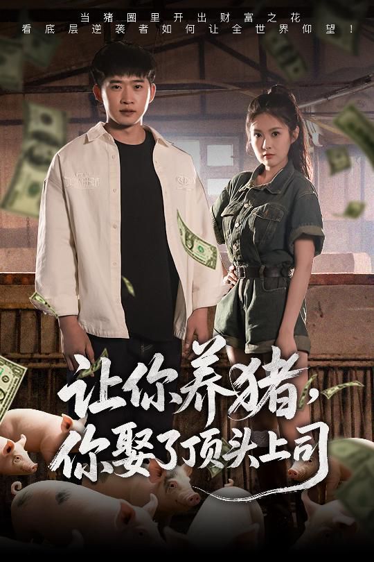 让你养猪你娶了顶头上司