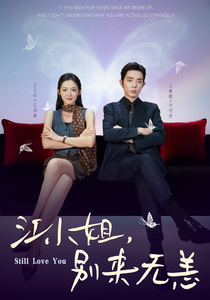 江小姐,别来无恙(分手五年),宋先生别纠缠