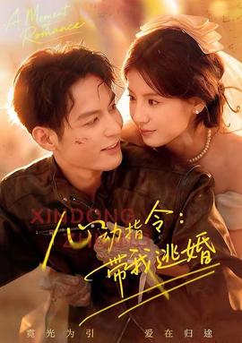 心动指令:带我逃婚