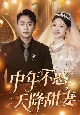 中年不惑,天降甜妻