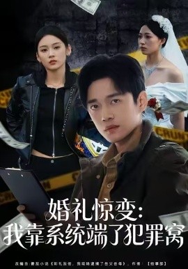 婚礼惊变：我靠系统端了犯罪窝