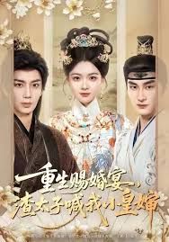 重生赐婚宴,渣太子喊我小皇婶